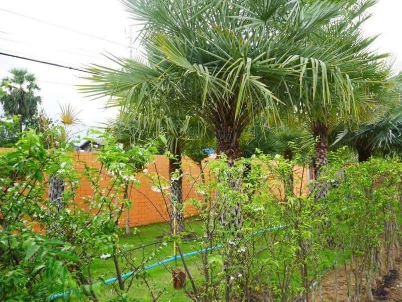 Tinna Resort Ban Nong Mai Ngam ภายนอก รูปภาพ